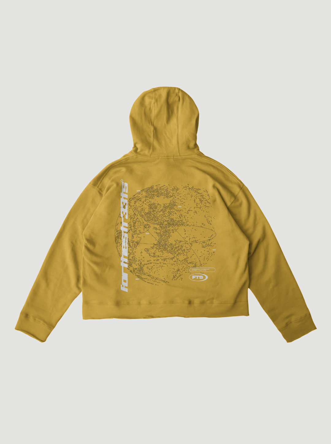 FTS Hoodie V2